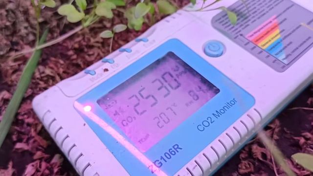 Высокая грядка- теплица. момент истины. смотреть онлайн