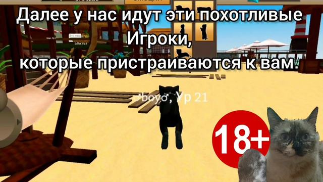 ТИПЫ ИГРОКОВ В CAT SIMULATOR ANIMAL LIFE ЧАСТЬ 2 смотреть онлайн