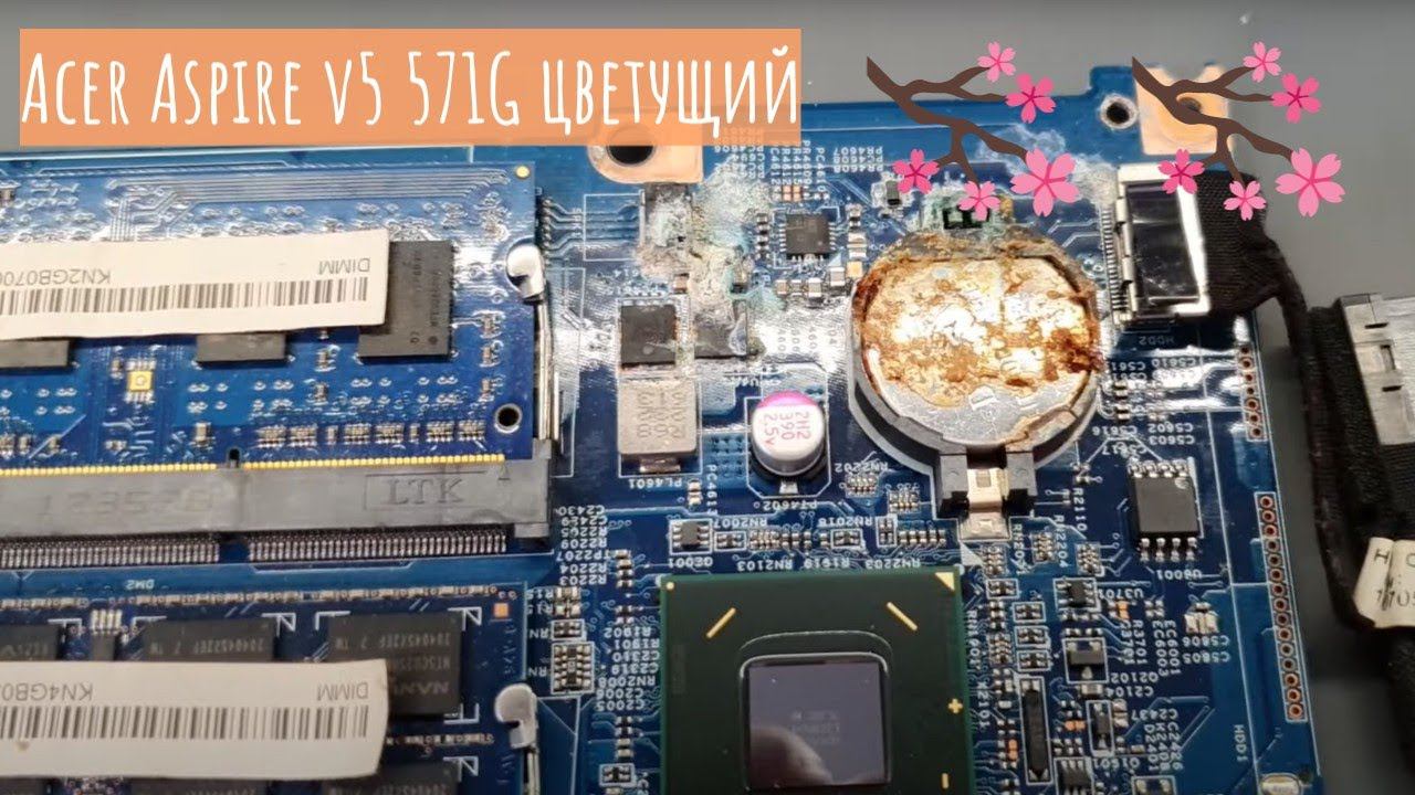 Acer Aspire v5 571G цветущий смотреть онлайн