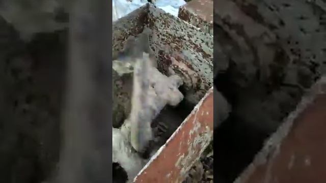 Растворомешалка смотреть онлайн