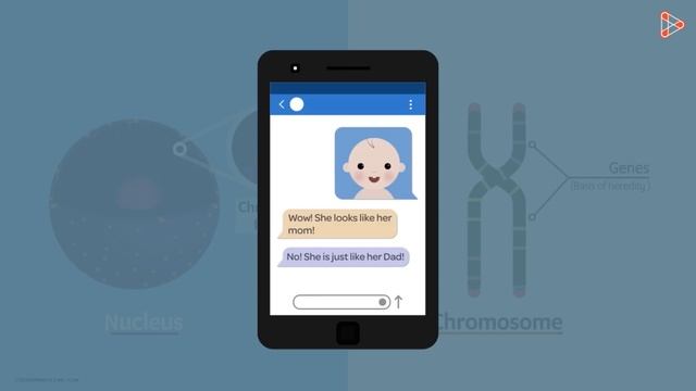 Nucleus | Cell | Infinity Learn смотреть онлайн