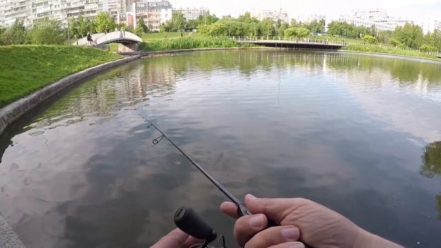 Испытание Dayo Hitman 198 0,1-3 гр #1 Новый супербюджетный мормоуниверсал смотреть онлайн