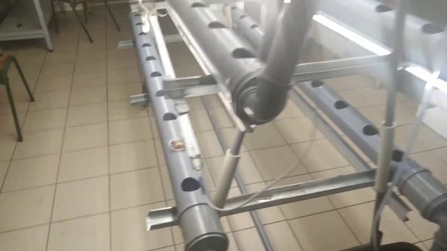 Гидропонная установка пирамида смотреть онлайн