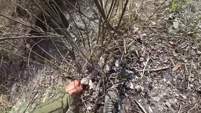 Словил рыбу мутанта в реке Припять. Рыбалка в Чернобыле. Что делает радиация с животными смотреть онлайн