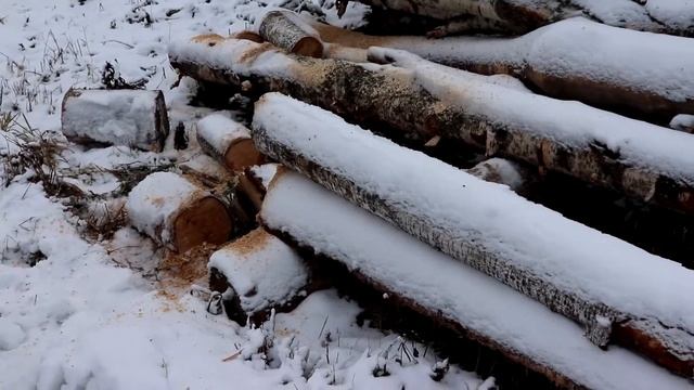 Тест электрической цепной пилы Калибр. смотреть онлайн