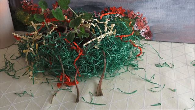 сказка про корешки смотреть онлайн