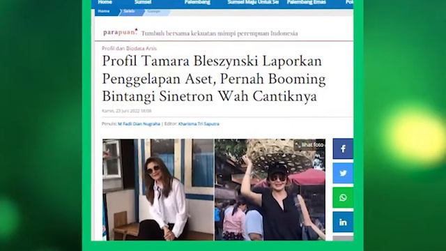 Profil Tamara Bleszynski, Mantan Istri Mike Lewis yang Laporkan Penggelapan Aset смотреть онлайн
