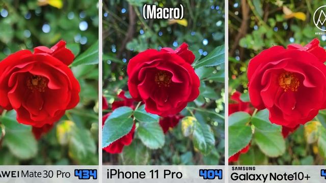 Huawei Mate 30 Pro vs iPhone 11 Pro Max vs Samsung Note 10 Plus Camera Test Comparison! смотреть онлайн