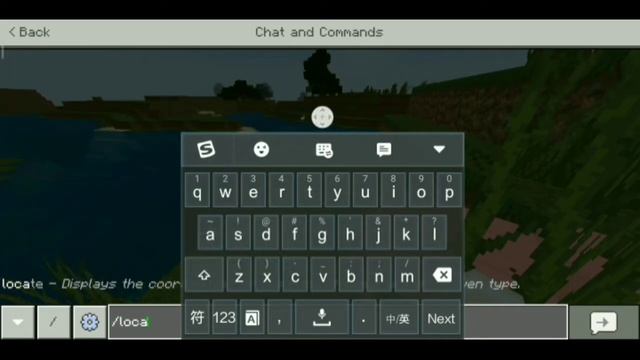 Java Debug Screen For MCPE 1.17+‖MCPE Addon #Lordvin309 #javadebugscreen смотреть онлайн
