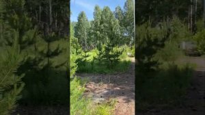 «Орленок» заброшенный пионерский лагерь в селе Абзаково