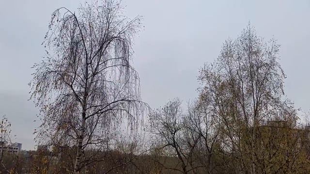 Сенсация дня тучи не разгоняли Праздник омрачен с4 смотреть онлайн