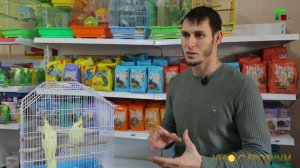 КАК УХАЖИВАТЬ ЗА ПОПУГАЯМИ