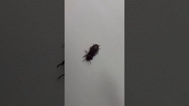 СтройНастольгия