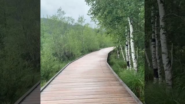 Summer In Seefeld Austria смотреть онлайн
