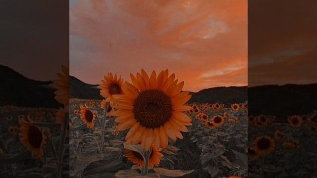 не светит - космонавтов нет (кавер) смотреть онлайн