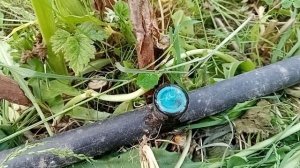 Компенсированная капельница 2-4 литра в час. Капельный полив теплица, кустарники, малина. Полив33.р