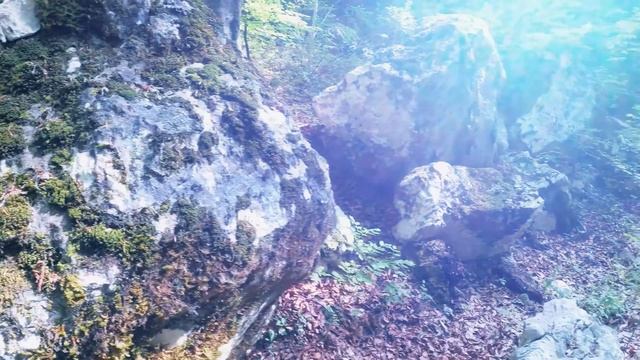 Путь Понале: от озера Гарда к горному озеру Ледро | Треккинг в Северной Италии смотреть онлайн