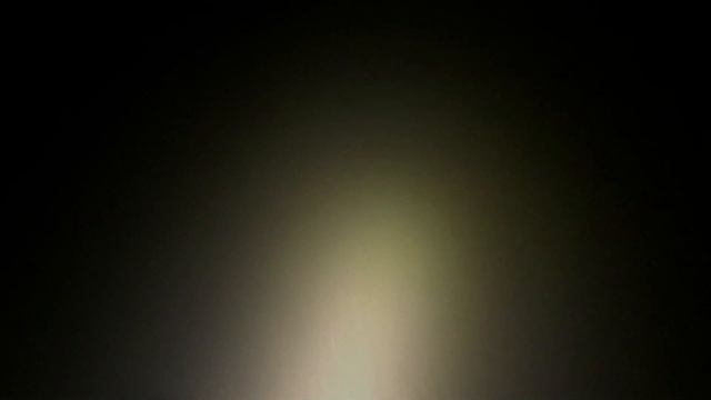 Осень 2023 Сазаны. Подводная охота. смотреть онлайн