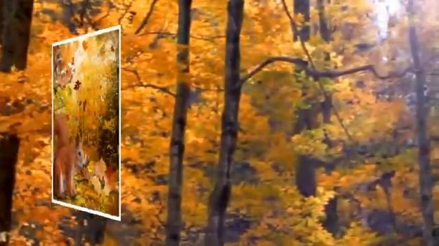 Золотой вам осени. Музыкальная открытка смотреть онлайн