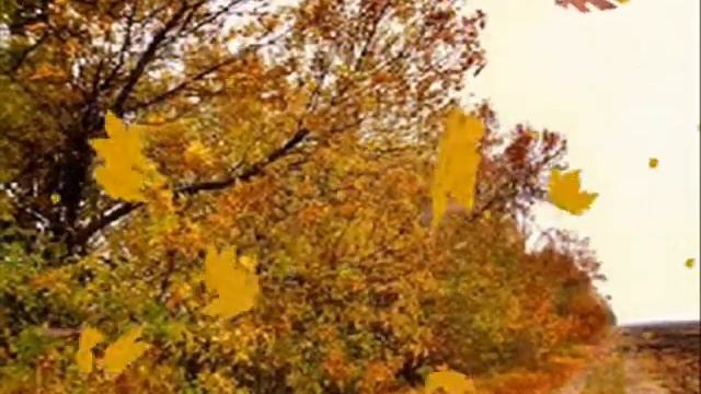 Кружит над Тверью новый листопад смотреть онлайн