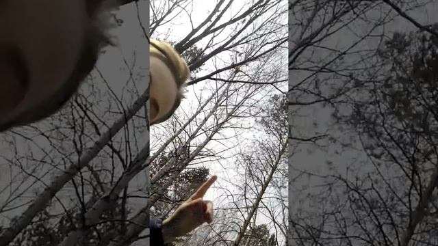 Наша Некрасовка смотреть онлайн