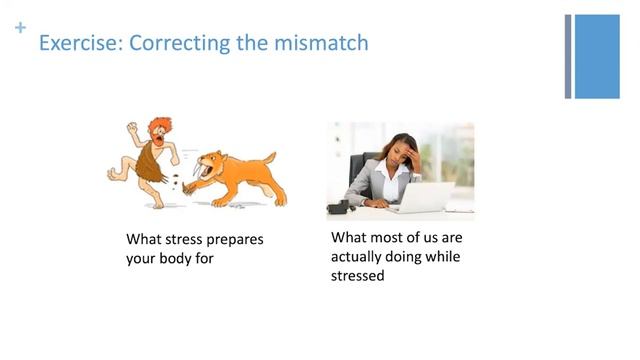 Let’s Talk About Stress