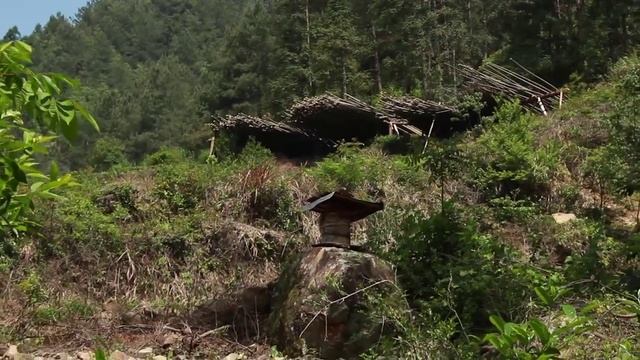 China Fujian Wu Yi Village original Zhen Yan Tea - Китай Фудзянь Уи Шань Утесный Чай. смотреть онлайн