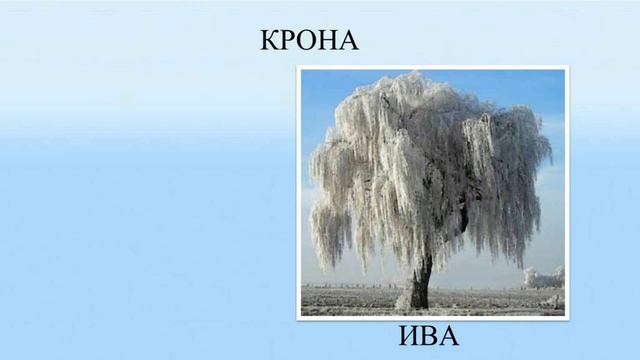 Тема 10. Как зимуют растения смотреть онлайн