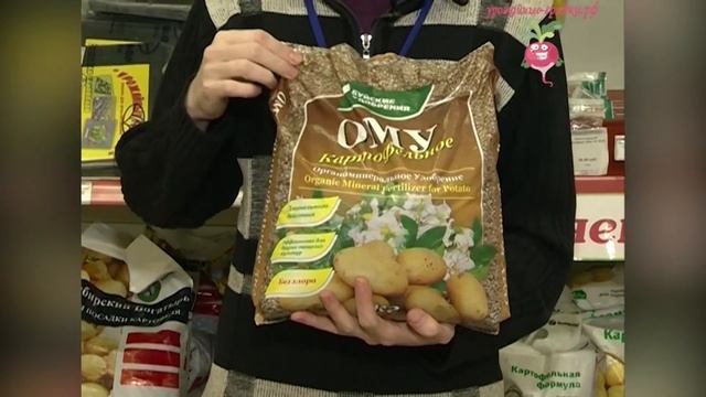 Семенной картофель. Сорта картофеля. Посадка картофеля. Урожайные грядки. смотреть онлайн