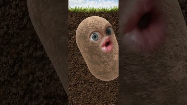 У лукоморья дуб зелёный. Пушкин в исполнении картошки. смотреть онлайн