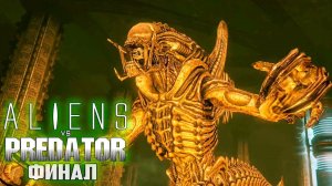 ФИНАЛЬНАЯ БИТВА - ALIEN vs PREDATOR Прохождение #11