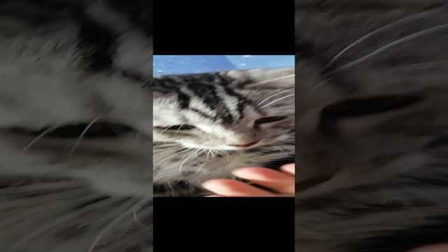 Сёма моется смотреть онлайн
