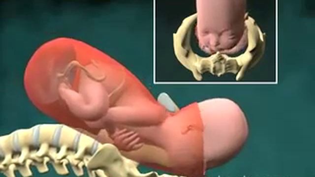 Второе рождение 3D модель.mp4 смотреть онлайн