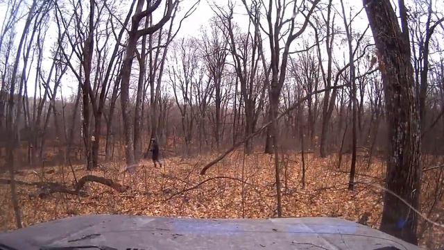 Гонка Встреча осени Вольск 13.11.2021 GPS-ориентирование 13 экипаж третье место в категории стандар смотреть онлайн