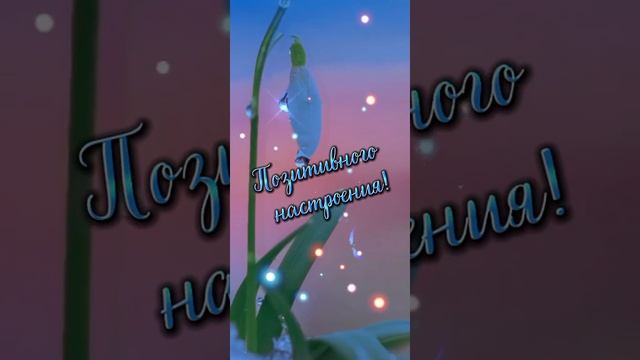 ДОБРОЕ УТРО.. смотреть онлайн