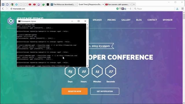 Как скачать сайт целиком с картинками из CSS и шрифтами смотреть онлайн