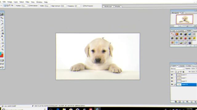 ALL TOOLS OF ADOBE PHOTOSHOP 7.0 IN TELUGU PART 2-ADOBE PHOTOSHOP TUTORIAL IN TELUGU смотреть онлайн