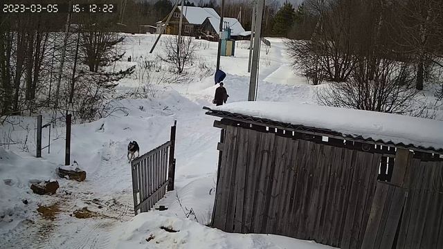 Т-40 трактор сломался. смотреть онлайн