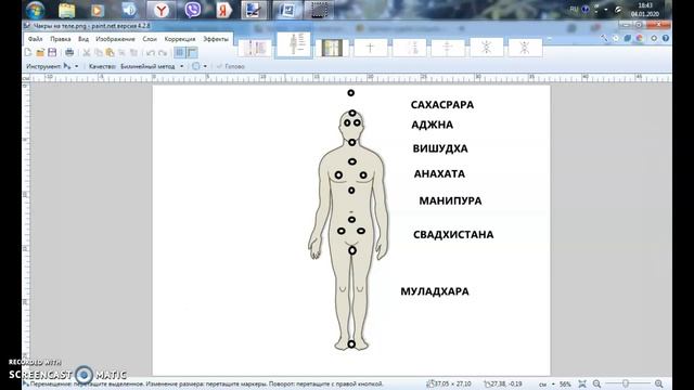 Руна ЭНЕРГЕТИЧЕСКОЕ ДРЕВО ЧЕЛОВЕКА смотреть онлайн