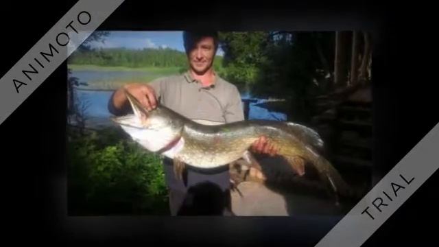 Туры на рыбалку в Беларусь Agrotrips 360p смотреть онлайн