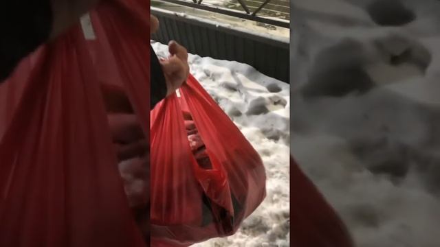 Глухозимье рыбинка. Ловим окуня 2022. Рыбинское водохранилище. смотреть онлайн