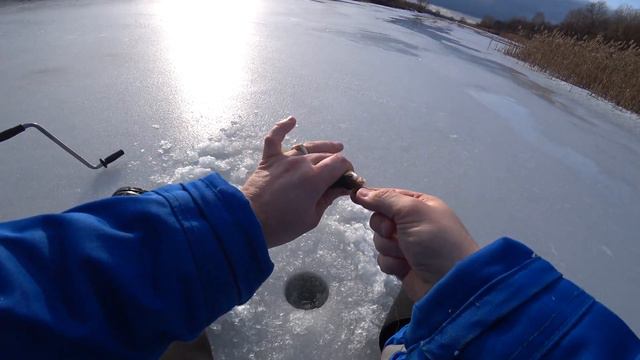 Трудовая рыбалка 2 января на безмотылку в оттепель. Плотва и окунь! смотреть онлайн