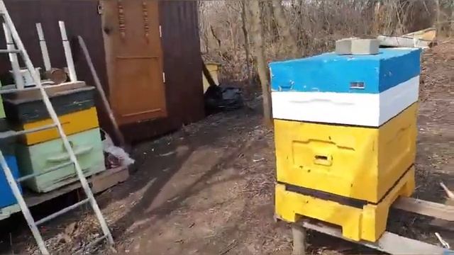 Белгород, торгуем мёдом. Амбар. смотреть онлайн