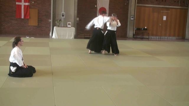 11 Гякуханми Катаредори Утикайтен Кансецу Ириминаге