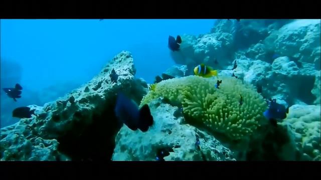 Бора-Бора - райский остров смотреть онлайн