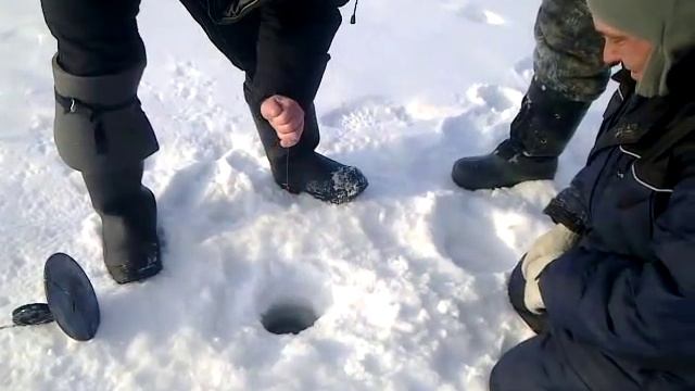 Ловля судака зимой кама Пермь ! смотреть онлайн
