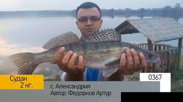 Фотоальбом - Рыбалка №73 смотреть онлайн