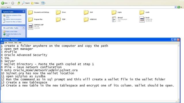 TDE - Wallet - Transparent Database Encryption - Oracle 10g смотреть онлайн
