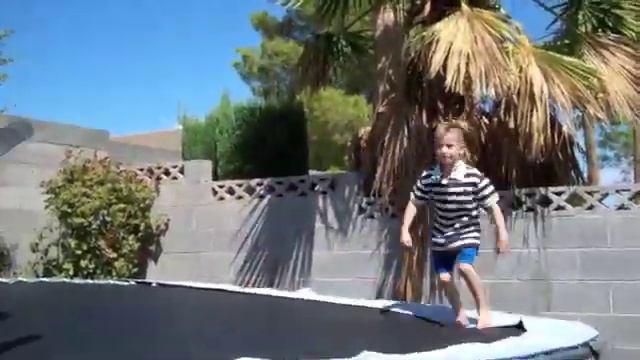 tnf vs wfe! смотреть онлайн