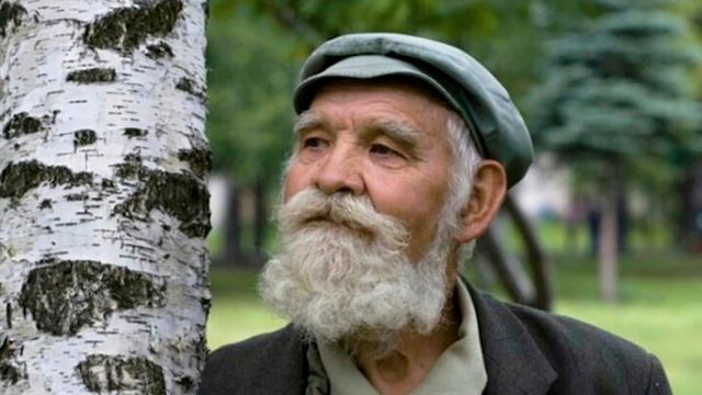 Магия деревьев: как определить «своё» растение, какое дерево даст энергию, а какое отберёт смотреть онлайн